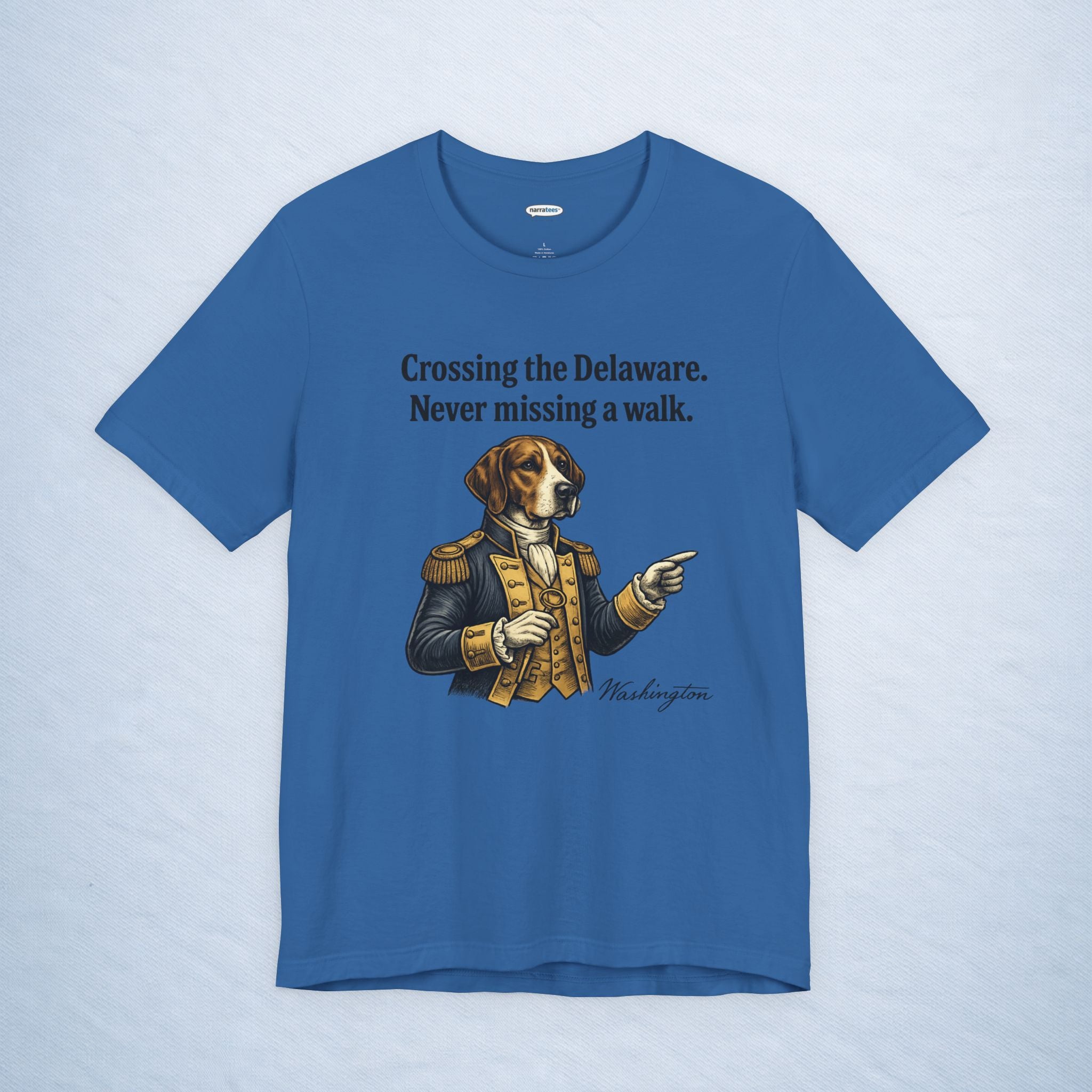 washington: crossing the delaware
