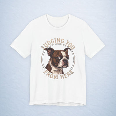 boston terrier: judging you from here