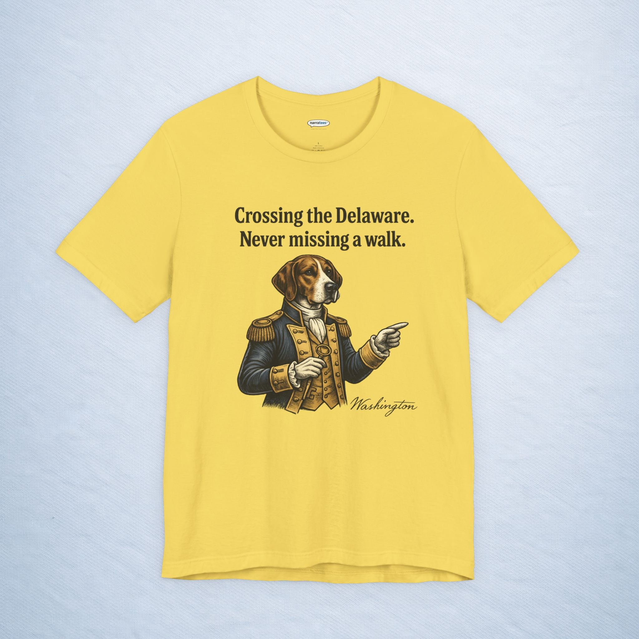 washington: crossing the delaware