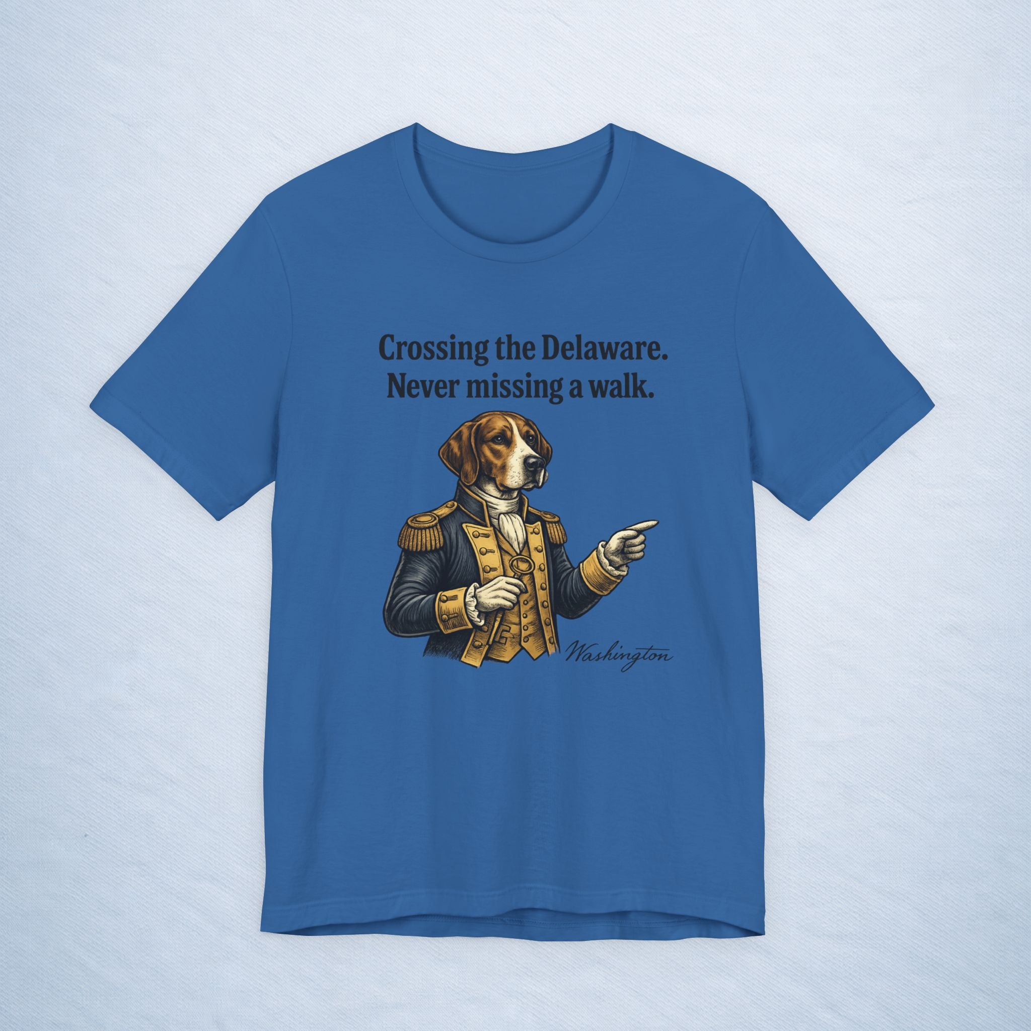 washington: crossing the delaware