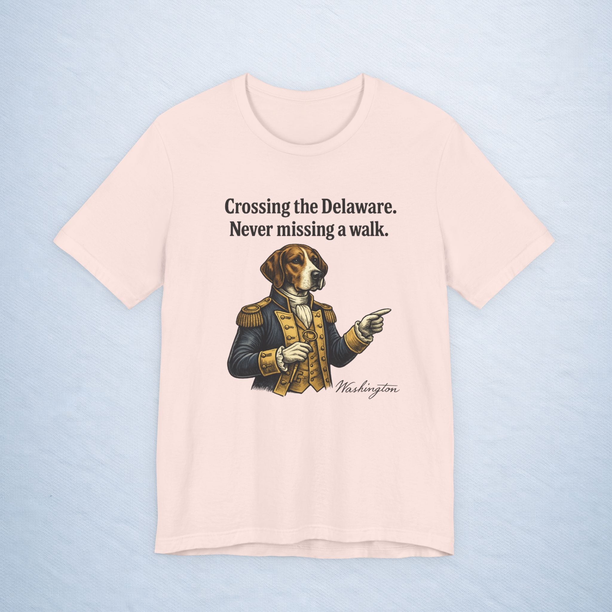 washington: crossing the delaware