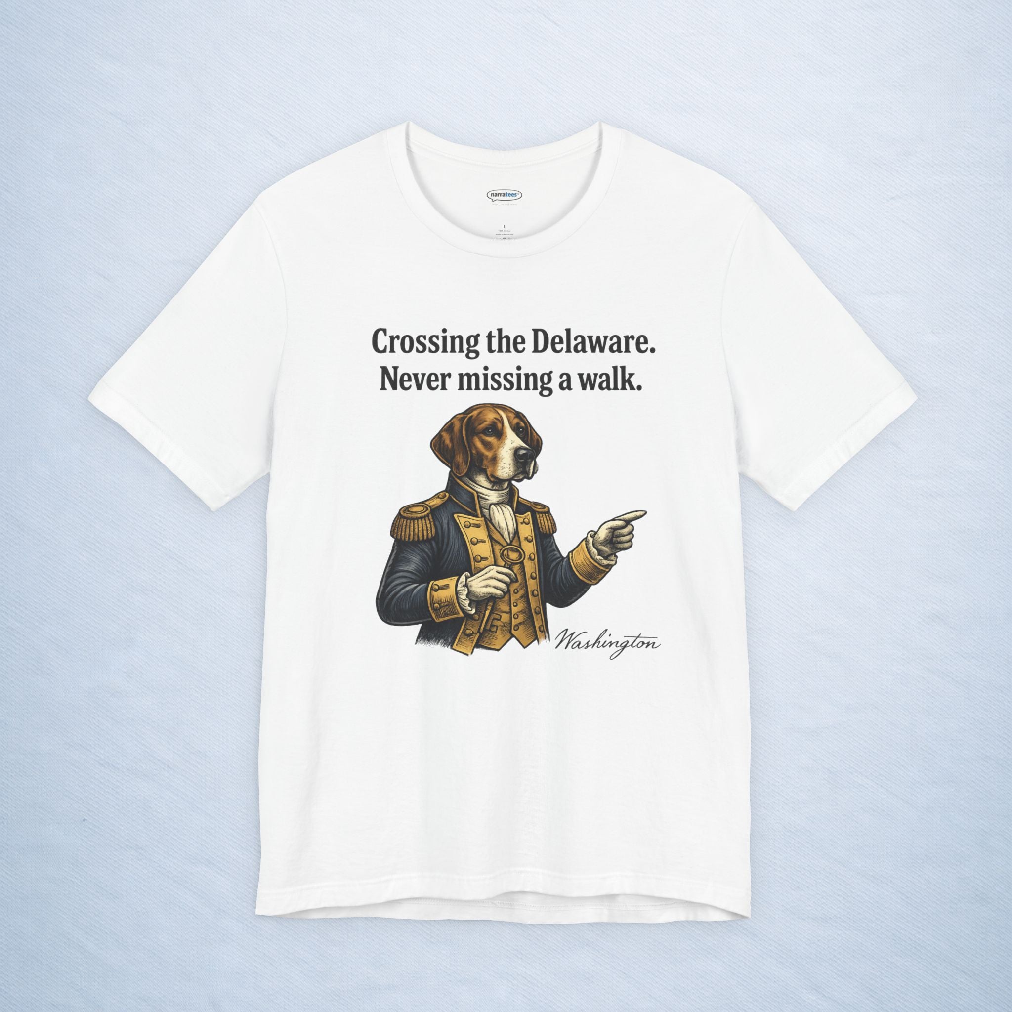 washington: crossing the delaware