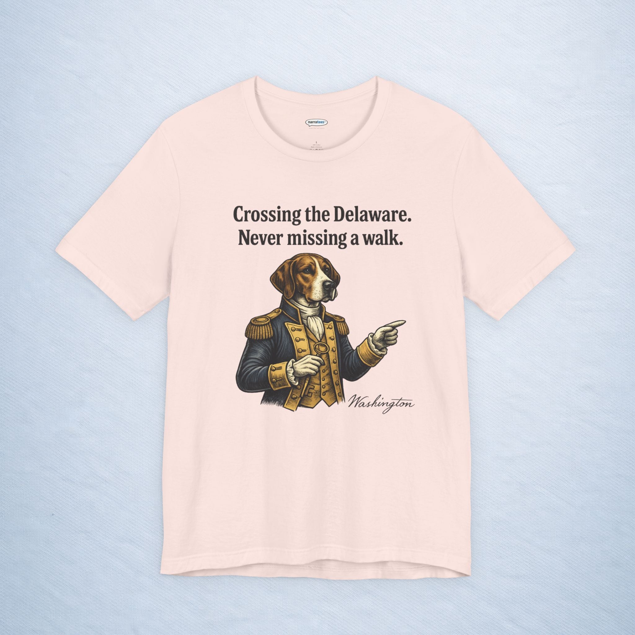 washington: crossing the delaware