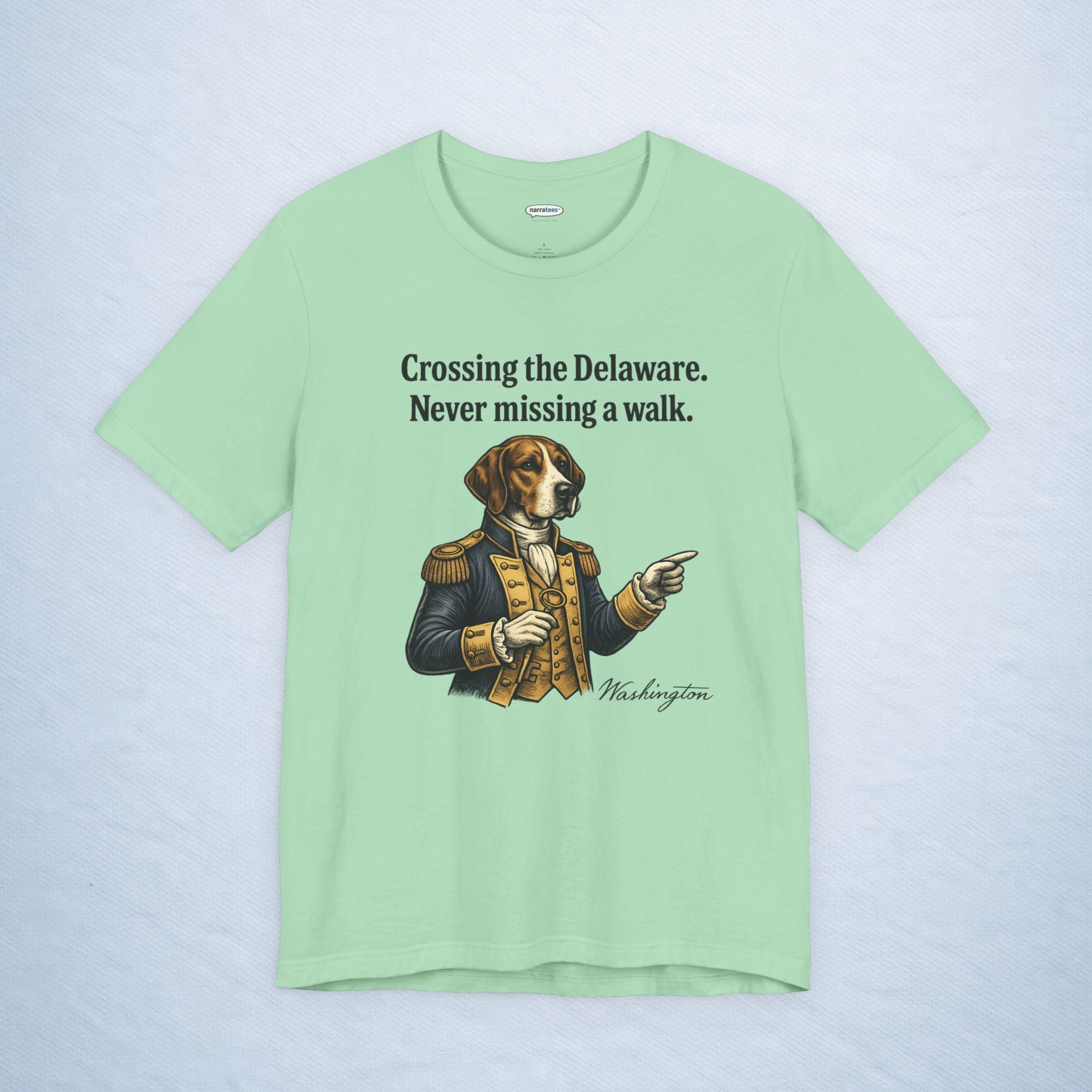washington: crossing the delaware