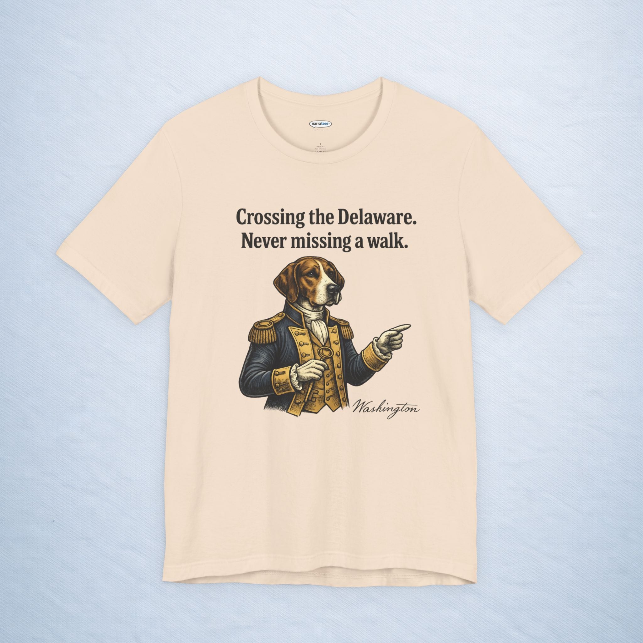 washington: crossing the delaware